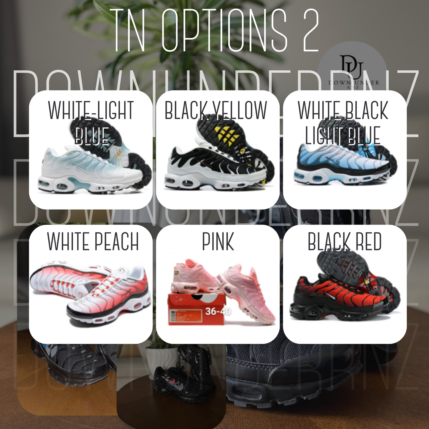 TN 1s (Multiple Colourways)